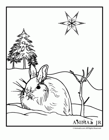 animals in winter Colouring Pages (page 2)