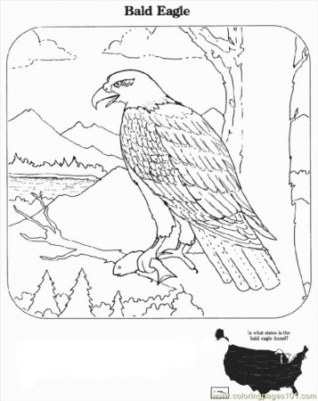 Bald Eagle Coloring Page | Free coloring pages