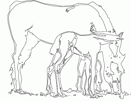 Horse Coloring Pages To Print Out