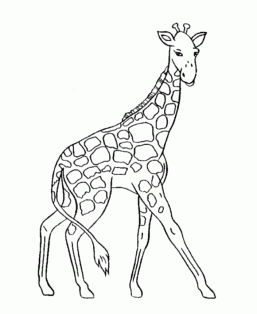 Planet Coloring Pages – 500×503 Coloring picture animal and car 