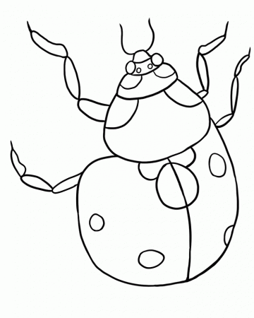 Bug Museum - Bug Coloring Pages - Ladybug (2)