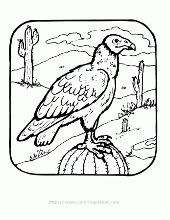 vulture in the desert printable coloring in pages for kids 