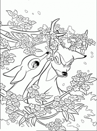 Surprised To See Faline Suddenly Appeared Coloring Pages - Bambi 