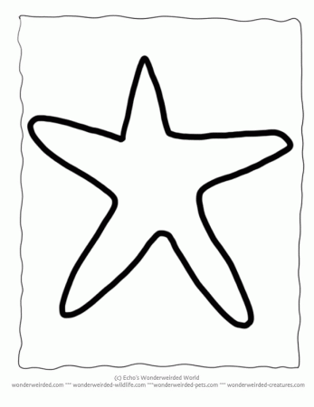 Printable Starfish Template, Echo's Animal Outlines for Ocean Crafts