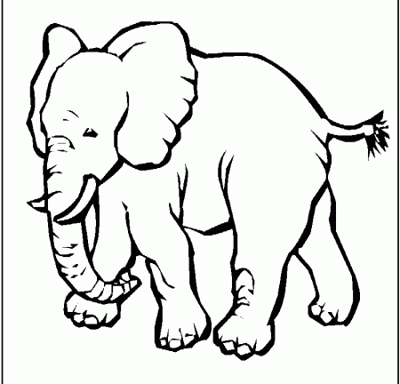 Kids Coloring Pages | Printable Coloring Pages for Kids