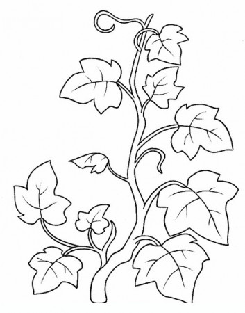 Ivy Flowers coloring pages