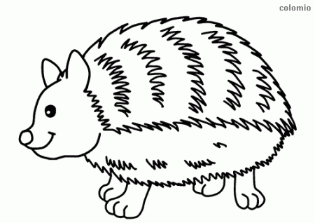 Forest Animals coloring pages » Free & Printable » Forest animals coloring  sheets