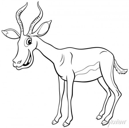 Impala cartoon animal character coloring book page • wall stickers witty,  graphic, species | myloview.com