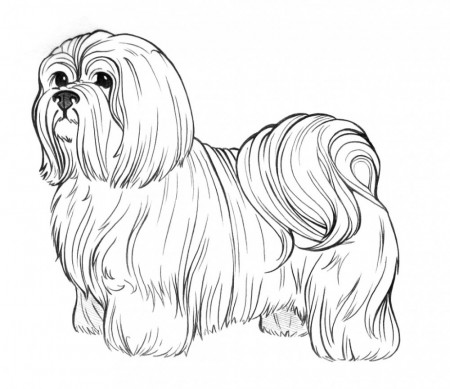 Dog Coloring Pages for Adults - Best Coloring Pages For Kids