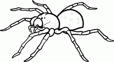 Spider Coloring Page