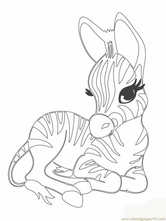 cute baby zebra coloring pages | Only Coloring Pages