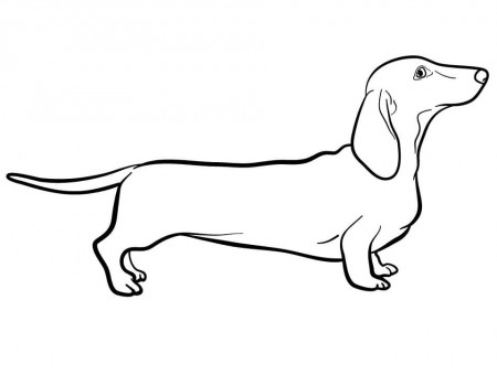 A Dachshund Dog Coloring Page - Free Printable Coloring Pages for Kids