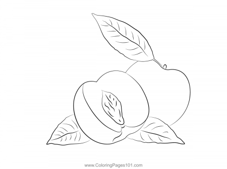 Ripe Sliced Peach Nectarine Coloring Page for Kids - Free Nectarine  Printable Coloring Pages Online for Kids - ColoringPages101.com | Coloring  Pages for Kids