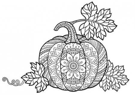 Fall Coloring Pages Images – Browse 257 ...