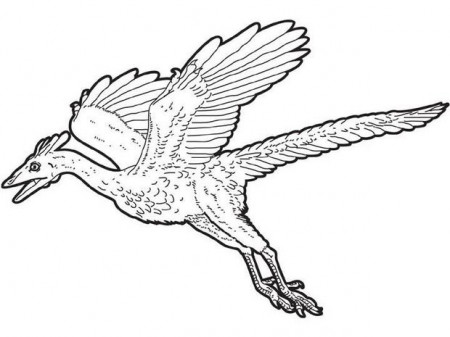 Flying Dinosaur Coloring Pages | Dinosaurs Pictures and Facts | Libro de  dinosaurios para colorear, Páginas para colorear para niños, Dinosaurios