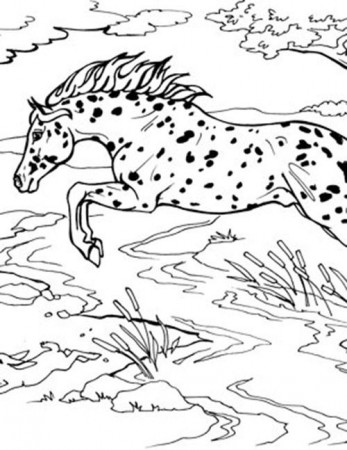 Coloring Pages Page 2 - BreyerHorses.com