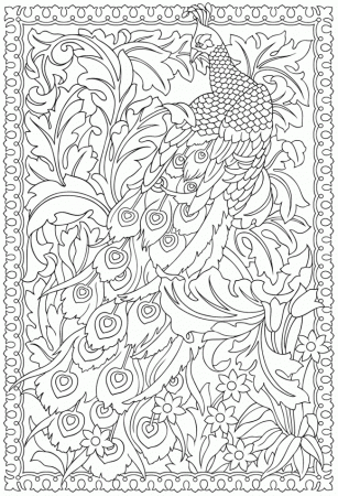 7 Pics of Free Printable Peacock Coloring Pages - Peacock Adult ...
