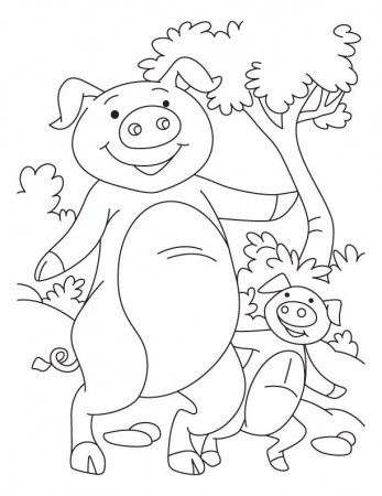 Coloring Pages Of Pigs And Piglets - Coloring Page
