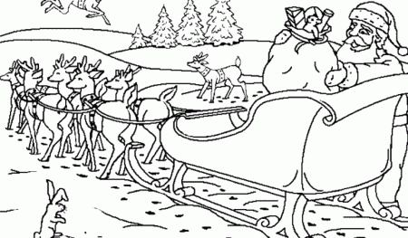 Reindeer Coloring Pages (18 Pictures) - Colorine.net | 26388