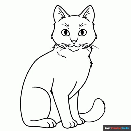Realistic Cat Coloring Page | Easy Drawing Guides