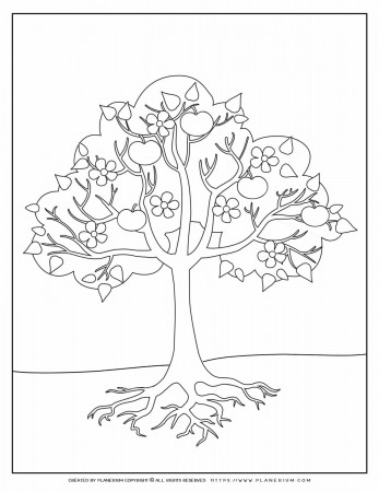 Apple Tree Coloring Page | Planerium