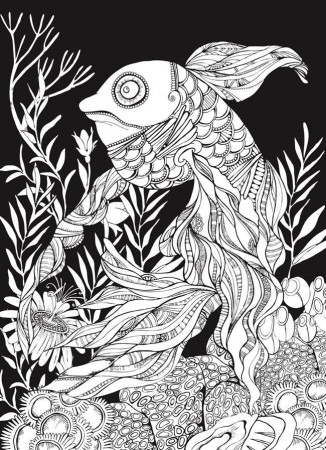 1000+ ideas about Dover Coloring Pages | Colouring ...