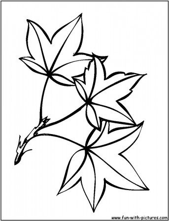 Leaf Coloring Pages Free Coloring Pages Leaf Template Coloring ...