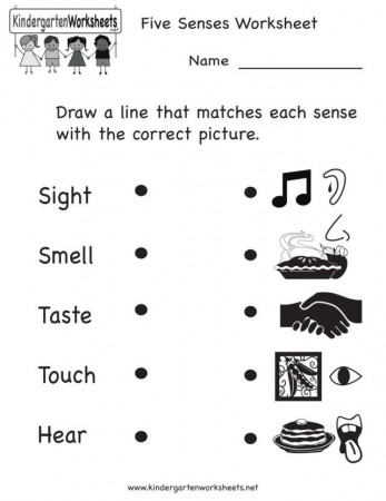 Your Five Senses Worksheet