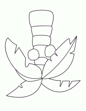 Palm Tree Coloring – Coloring Pages