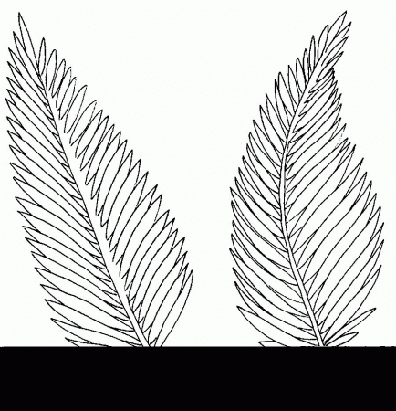Free Palm Branch Coloring Page, Download Free Clip Art, Free Clip Art on  Clipart Library