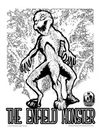 The Fun Page – The National Cryptid Society