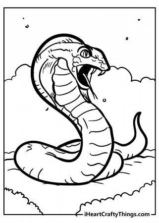 Snake Coloring Pages (Updated 2023)
