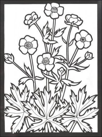 Wildflowers Stained Glass Coloring Book (Creative Haven) | Dover  Publications | 9780486796017