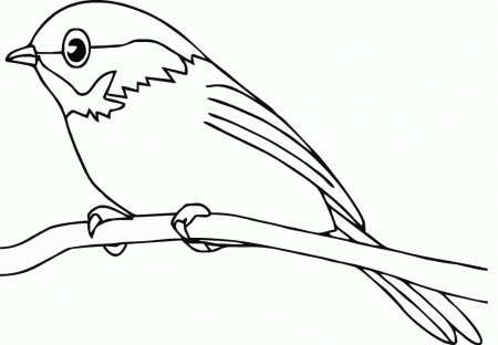 New Color Pages Of Birds Az Coloring Pages, Creative Bird Coloring ...