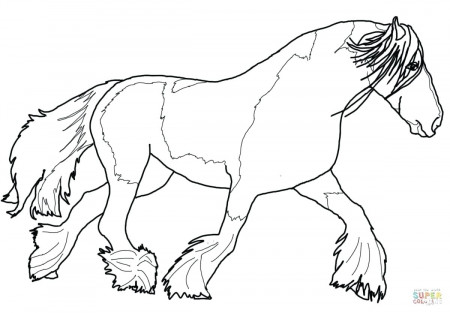 realistic horse coloring pages for adults – mayhemcolor.co