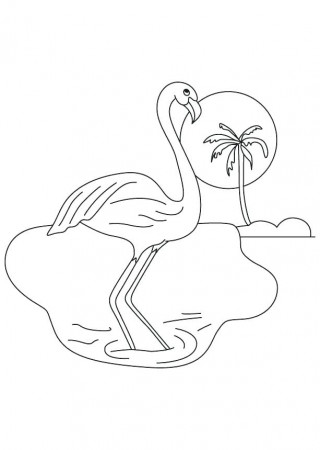 Flamingo Coloring Pages - Best Coloring Pages For Kids