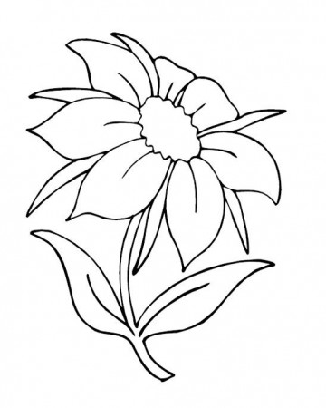 flower Page Printable Coloring Sheets | Nature Coloring Pages ...