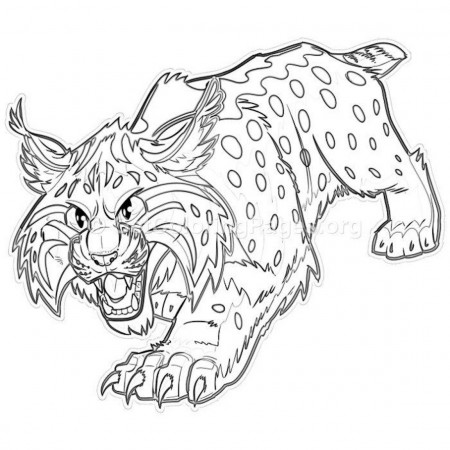 Top 10 Wild Cat Coloring Pages And More Free Printable Coloring Themes