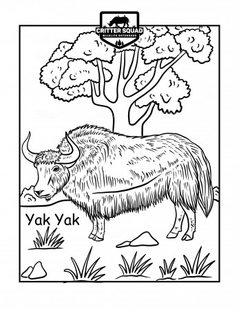 Yak Yak Coloring Page - C.S.W.D