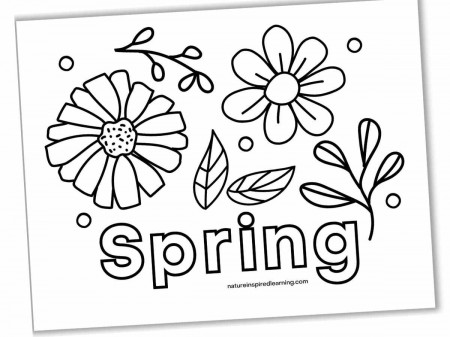 Beautiful Spring Coloring Pages - Nature Inspired Learning