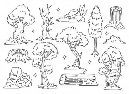 Forest Coloring Page Images - Free Download on Freepik