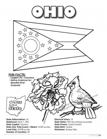 Ohio State Coloring Book 8.5 x 11 - ColoringBook.com | Really Big Coloring  Books®