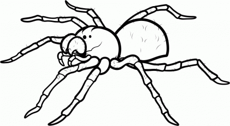Black And White Spider Coloring Page - Coloring Pages For All Ages