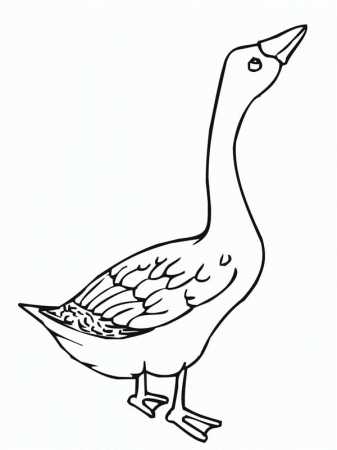 Angry Goose Coloring Page - NetArt