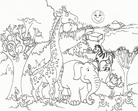 african animal coloring page | Only Coloring Pages