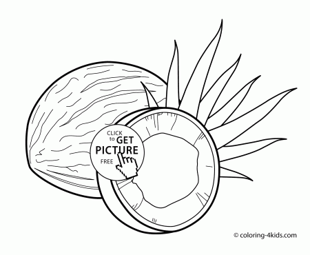 Coconuts fruits coloring pages for kids, printable free | coloing ...