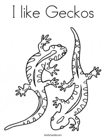I like Geckos Coloring Page | Coloring pages, Animal coloring pages, Colouring  pages