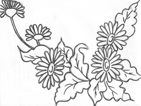 Daisy Duck Coloring Pages Daisy Girl Scout Coloring Pages ...