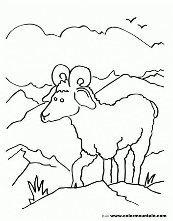 Mountain Sheep Coloring Pages: Ram Coloring Pages, Rocky Mountain ...