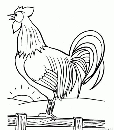 Rooster Crowing In The Morning Farm Animal S0824 Coloring Pages ...